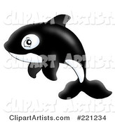 Adorable Orca Whale