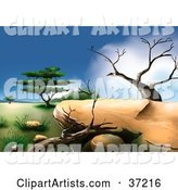 African Landscape with Two Dead Trees and a Green Acacia Tree in the Background