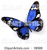 Blue Solar Panel Butterfly