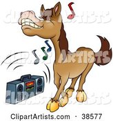 Brown Horse Dancing to Music Playing on a Boom Box