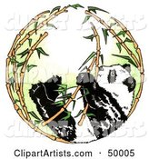 Giant Panda in a Circle of Bamboo Stalks