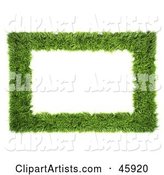 Realistic Green Grass Frame