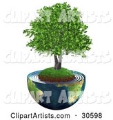 Realistic Tree with Lush Green Leaves, Growing on a Grassy Hill with Dirt in the Center of Planet Earth Cut in Half