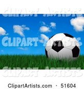 Soccer Ball Resting Still on Green Grass Under a Blue Sky