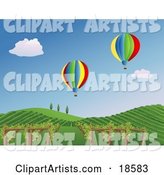 Two Colorful Hot Air Balloons Drifting over Grape Vines on a Hilly Vineyard Landscape in Napa