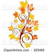 Autumn Spiral and Leaves
