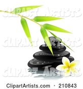 Bamboo Branch over Shiny Black Spa Stones and a Frangipani Flower