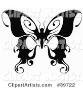 Beautiful Black and White Butterfly with Curling Tips on Its Wings