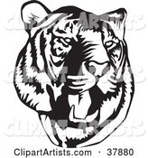 Black and White Roaring Tiger Head