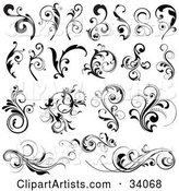 Black and White Set of Bold, Black and Elegant Scrolls and Vines