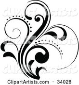 Black Scroll with Curly Leaves and Dots