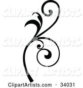 Black Scroll with Curly Vines