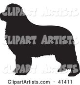Black Silhouetted Newfoundland Dog Profile