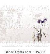 Blooming Purple Asian Flowers in a Garden over a Textured White and Gray Background