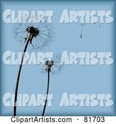 Blue Dandelion Seed Head Background with Pieces Blowing Away