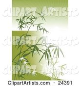 Bright Burst of Light Beaming Through Bamboo Stalks and Leaves over Green