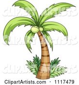 Coconut Palm Tree and Ferms