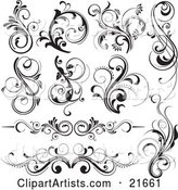 Collection of 10 Floral Vines and Flourishes in Black and White