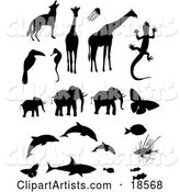 Collection of Animal Silhouettes Including a Wolf or Coyote, Giraffes, Jellyfish, Toucan, Seahorse, Gecko, Elephants, Butterflies, Dolphins, Triggerfish, Lionfish, a Shark and Clownfishes