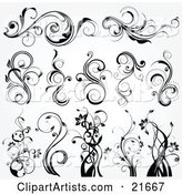 Collection of Botanical Scrolling Plants and Flowers, in Black and White