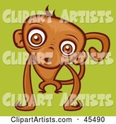 Confused Brown Monkey Staring at the Viewer