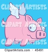 Confused Pink Pig Flying in a Blue Sky