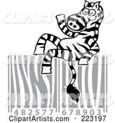 Cool Zebra Relaxing on a Zebra Patterned Bar Code