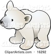 Curious White Arctic Polar Bear Cub (Ursus Maritimus)