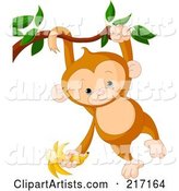 Cute Baby Monkey Swinging from a Branch by His Tail and Arm and Holding a Banana