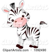 Cute Baby Zoo Zebra