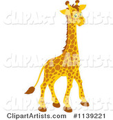 Cute Giraffe