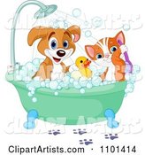Cute Happy Puppy and Cat Bathing with a Rubber Duck