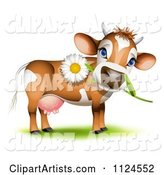 Cute Jersey Cow with a Daisy in Its Mouth