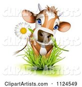 Cute Jersey Cow with a Daisy in Its Mouth Standing in Grass