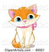 Cute Marmalade Kitten with a Pink Ribbon Collar