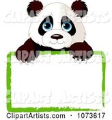 Cute Panda Looking over a Green Sign