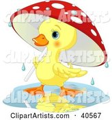 Cute Yellow Duckling Strolling Under a Mushroom Umbrella on a Rainy Spring Day