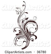 Dark Brown Grunge Textured Curly Vine Scroll Design Element