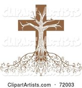 Deeply Rooted Crucifix Tree