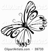 Delicate Black and White Butterfly