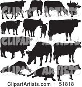Digital Collage of Black and White Cow Silhouettes