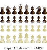 Ebony and Ivory Chess Pieces