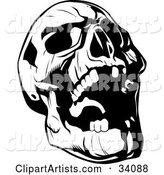 Evil Skull Tilting Its Head Back and Laughing