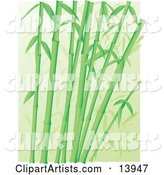 Forest of Green Bamboo Stalks