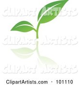 Green Leaf Logo Icon - 3