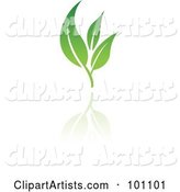 Green Leaf Logo Icon - 6
