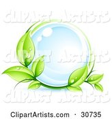 Green Organic Dewy Vine Circling a Glassy Blue Orb