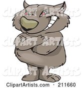 Grinning, Red Eyed Wombat Standing Upright with His Arms Crossed