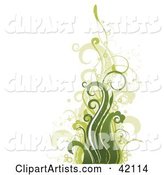 Grunge Floral Background of Green Waves or Plants on White