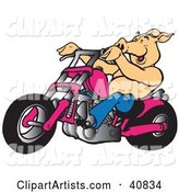 Happy Pig Riding a Pink Chopper